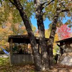 48 Bromley Avenue, Hanwell NB E3C 1M8 | Home For Sale In Hanwell with In Ground Pool | View of Gazebo