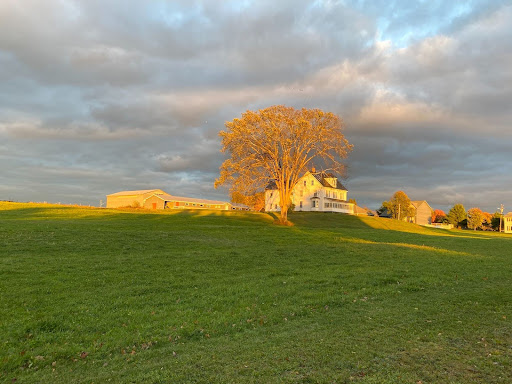 The Devon Neighbourhood: a look at the Neill farm