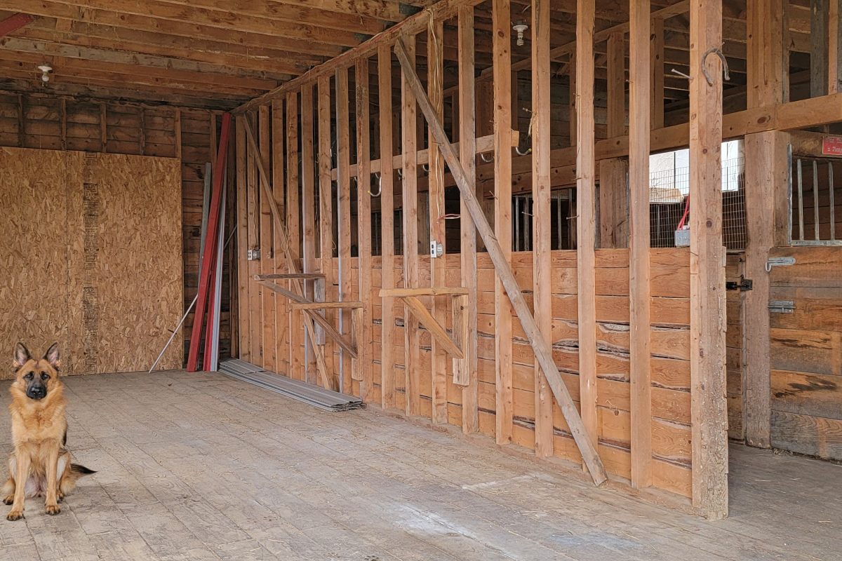 6800 Rte 102 Barn 2